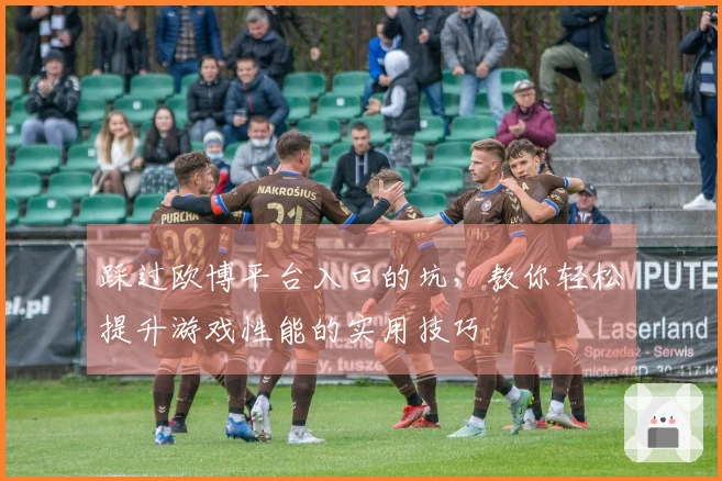 踩过欧博平台入口的坑，教你轻松提升游戏性能的实用技巧