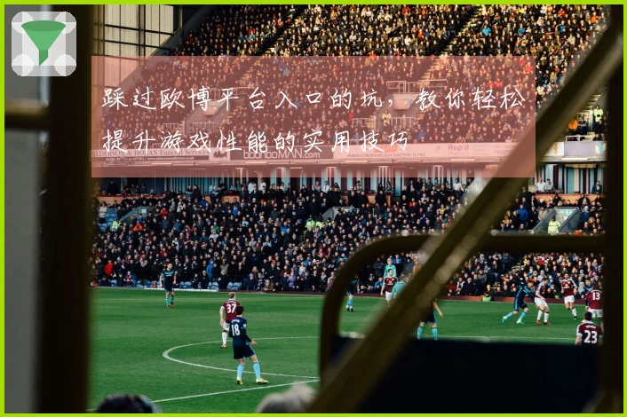 踩过欧博平台入口的坑，教你轻松提升游戏性能的实用技巧