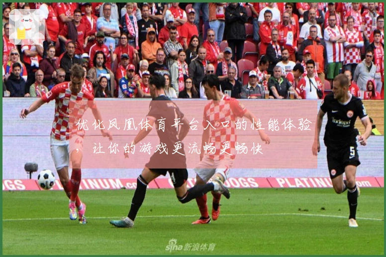 优化凤凰体育平台入口的性能体验，让你的游戏更流畅更畅快