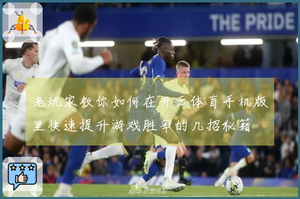 老玩家教你如何在开云体育手机版里快速提升游戏胜率的几招秘籍