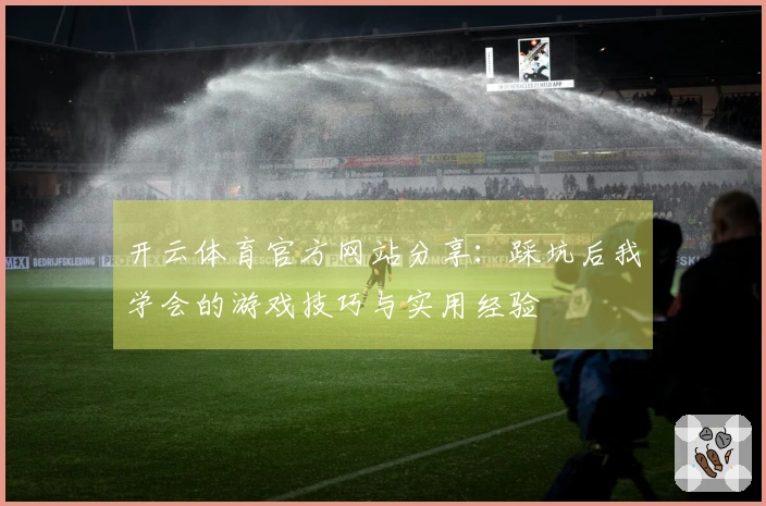 开云体育官方网站分享：踩坑后我学会的游戏技巧与实用经验
