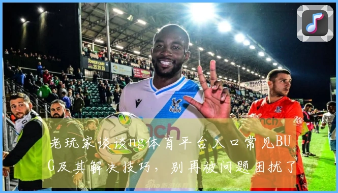 老玩家谈谈ng体育平台入口常见BUG及其解决技巧，别再被问题困扰了！